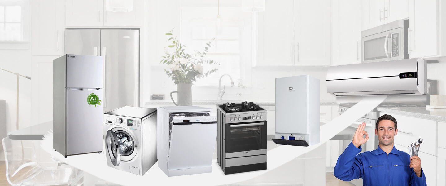 Terme Electrolux Servisi